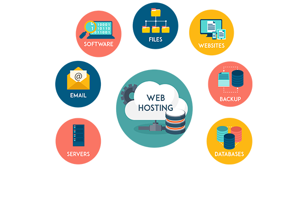 Skills that You Can Learn from Web Hosting Services in Pakistan